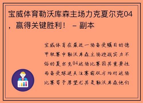 宝威体育勒沃库森主场力克夏尔克04，赢得关键胜利！ - 副本
