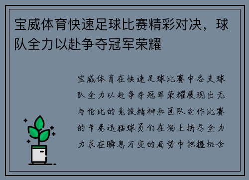 宝威体育快速足球比赛精彩对决，球队全力以赴争夺冠军荣耀